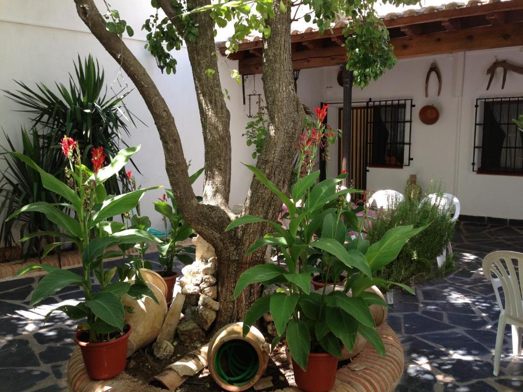 Casa Rural El Rincon Del Infante Villa de Don Fadrique Eksteriør bilde